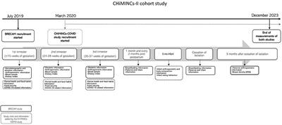 The Chilean Maternal-Infant Cohort Study-II in the COVID-19 Era: A Study Protocol